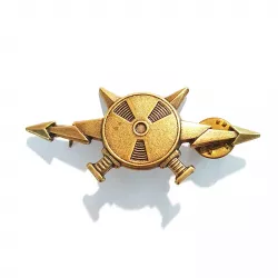Insigne du Brevet d'Informaticien