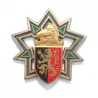 Insigne en forme d'étoile à 5 branches avec un cheval en or, un bouclier rouge et noir.