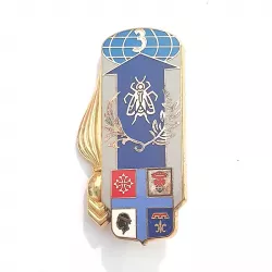 Insigne du 3e Groupement Logistique, de plusieurs couleurs et de symboles (globe, mouche, armoiries, grenade, chevrons...)