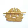 Insigne Union soviétique