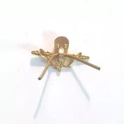 Insigne des forces aéroportées de l'URSS