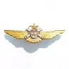 Brevet d'Observation de l'ALAT, représentant un écu, 2 canons croisés, 3 anneaux noués et une paire d'ailes.