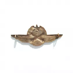 Brevet Observateur Pilote de l'ALAT