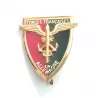Insigne en forme de bouclier rouge, vert et or, accompagné d'un emblème doré titré par "Forces Française En Allemagne".